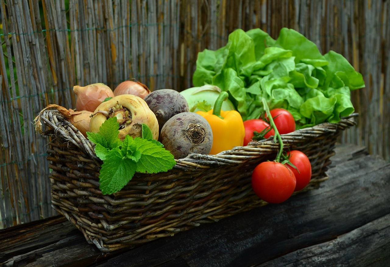Vegetable Gardening for Beginners: Tips and Tricks